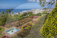 View of exotic flowers in the Botanical Gardens, Funchal, Madeira, Portugal, Europe