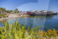 Fisherman's Wharf, Monterey Bay, Peninsula, Monterey, Pacific Ocean, California, United States of America, North America