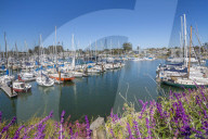 View of yachts at Santa Cruz Yacht Club, Santa Cruz, California, United States of America, North America