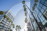 View of palm trees and contemporary architecture on Hollywood Boulevard, Los Angeles, California, United States of America, North America