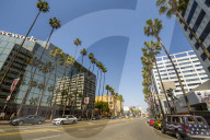 Palm trees & contemporary architecture on Hollywood Boulevard, Los Angeles, California, United States of America, North America