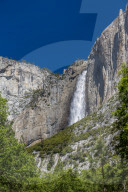View of Yosemite Falls from Yosemite Village, Yosemite National Park, UNESCO World Heritage Site, California, USA, North America