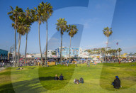 View of palm trees and visitors on Ocean Front Walk in Venice Beach, Los Angeles, California, United States of America, North America