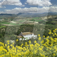 Andalucian landscape with white farmhouse and olive trees and mountains in distance, near Granada, Andalucia, Spain, Europe
