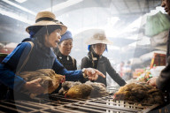 Women bartering over chicken sale at Xinjie Local Market, Yuanyang, Yunnan Province, China