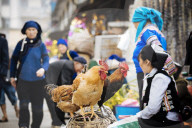 Xinjie Local Market, Yuanyang, Yunnan Province, China