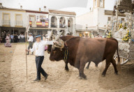 Pilgrimage of El Rocio, Huelva district, Andalucia, Spain