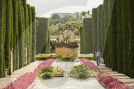 Gardens at The Alcazar, Cordoba, Andalucia, Spain