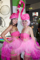 Japanese girls dressed as flamingos at thea Halloween celebrations in Shibuya, Tokyo