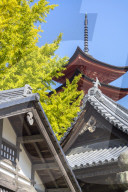 Senjokaku five-storey pagoda on Miyajima island.