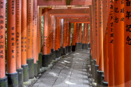 Red wooden Torii Gates at Fushimi Inari Shrine in Kyoto.