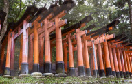Red wooden Torii Gates at Fushimi Inari Shrine in Kyoto.
