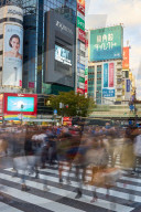 Crowds capture with blurred motion, walking through the Shibuya Crossing.