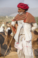 India, Rajasthan., Pushkar, Pushkar Camel Fair