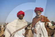 India, Rajasthan., Pushkar, Pushkar Camel Fair