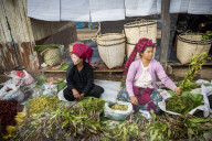 Market stall owned by Pa-O tribe, Ywama Market, Inle Lake, Shan State, Myanmar (Burma)