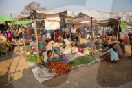 Ywama Market, Inle Lake, Shan State, Myanmar (Burma)