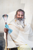 Portrait of Sadhu, with white stripe to indicate sectarianism, holding cobra cane.