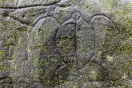 Petroglyphs carved in to basalt on sacred ground at Hatiheu, Nuku Hiva, Marquesas, French Polynesia.