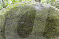 Petroglyphs carved in to basalt on sacred ground at Hatiheu, Nuku Hiva, Marquesas, French Polynesia.