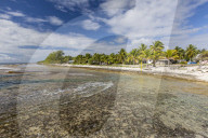 Palm trees line the beach in the front of the town of Tapana, Niau Atoll, Tuamotus, French Polynesia.