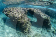 Perfect example of spur and groove reef formation at Niau Atoll, Tuamotus, French Polynesia.