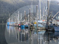 View of the commercial fishing fleet docked in the harbor at Petersburg, Southeast Alaska, USA.