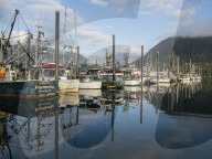 View of the commercial fishing fleet docked in the harbor at Petersburg, Southeast Alaska, USA.