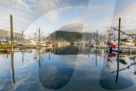 View of the commercial fishing fleet docked in the harbor at Petersburg, Southeast Alaska, USA.