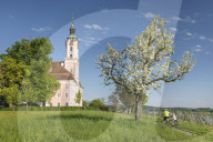 Birnau Pilgrimage Church, Unteruhldingen, Lake Constance, Baden-Wuerttemberg, Germany