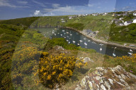 The inlet and harbour at Solva, Pembrokeshire, Wales, United Kingdom, Europe.