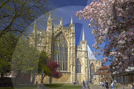 The east front of York Minster seen from St William's College, York, North Yorkshire, England, United Kingdom, Europe.