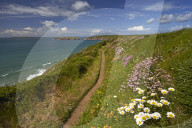 The Pembrokeshire coastal path above Marloes, Wales, U.K.