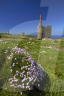 The ruins of Wheal Owles tin mine on the cliff tops near Botallack, Cornwall, England, U.K.