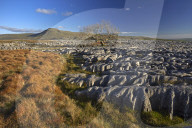 Ingleborough seen from the limestone pavement on Twistleton Scar, Yorkshire Dales National Park, North Yorkshire, England, U.K.