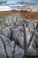 Ingleborough seen from the limestone pavement on Twistleton Scar, North Yorkshire, England, U.K.