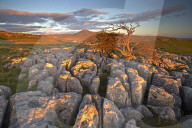 Ingleborough seen from the limestone pavement on Twistleton Scar, North Yorkshire, England, U.K.