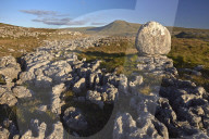 Ingleborough seen from a limestone boulder on Twistleton Scar, Yorkshire Dales National Park, North Yorkshire, England, U.K.