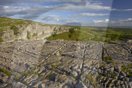 The limestone pavement on the top of Malham Cove, North Yorkshire, England, U.K.