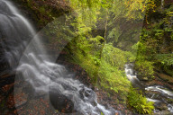 A stream cascading into the Moness Burn which flows through the Birks of Aberfeldy, Perthshire, Scotland, U.K.
