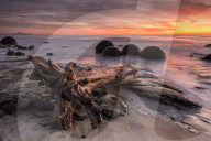 8235 The Moeraki Boulders at Moeraki Beach, Otago, New Zealand