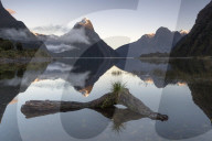 8239 Mitre Peak, Milford Sound, Fiordland National Park, New Zealand