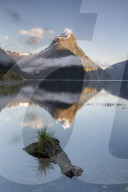 8241 Mitre Peak, Milford Sound, Fiordland National Park, New Zealand