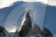 Condor flying at Cerro Torres, Los Glaciares National Park, Santa Cruz Province, Argentina