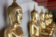 Seated Golden Buddha statues in a row at Wat Pho (Temple of the Reclining Buddha), Bangkok, Thailand.