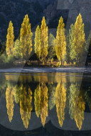 Poplar trees reflected in autumnal colours, San Carlos de Bariloche, Patagonia, Argentina.