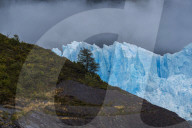 Lone tree set against Perito Moreno Glacier in Los Glaciares National Park, Santa Cruz Province, Patagonia, Argentina,