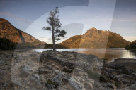 A typical Patagonian landscape, Bariloche, San Carlos de Bariloche, Patagonia