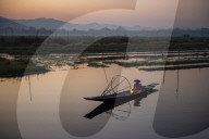 Intha leg rowing fisherman at Inle Lake gardens, Inle Lake, Shan State, Myanmar.