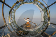 Intha leg rowing fisherman looking through fishing net, Inle Lake., Shan State, Myanmar